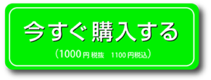 今すぐ購入する１１００