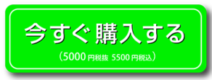 今すぐ購入する５０００円